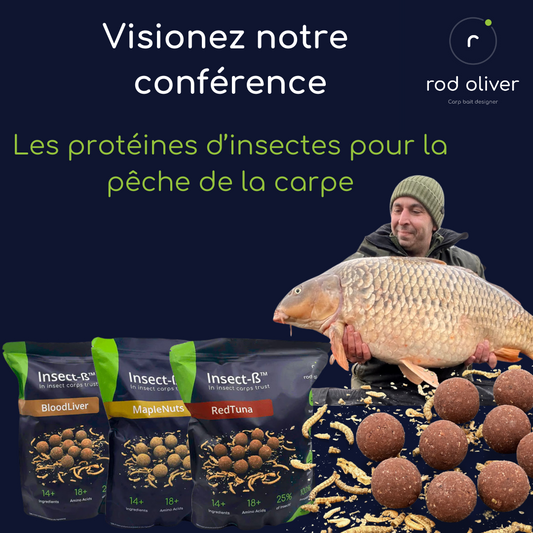 Les protéines d'insectes pour la pêche de la carpe (Conférence Rod Oliver Salon de Montluçon 2025)